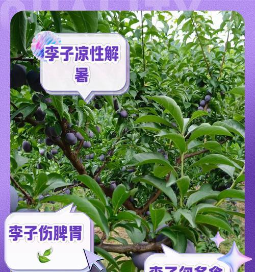 天麻是热性还是凉性？（探究天麻的性质及功效）