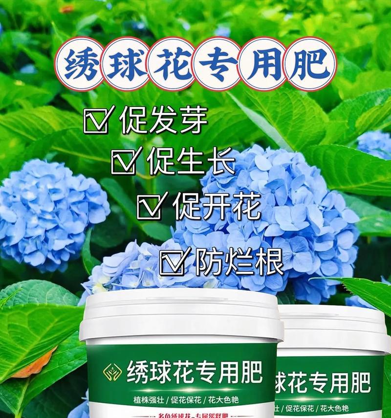 肥料喷到花上的处理方法（保护花朵免受肥料损害的有效措施）