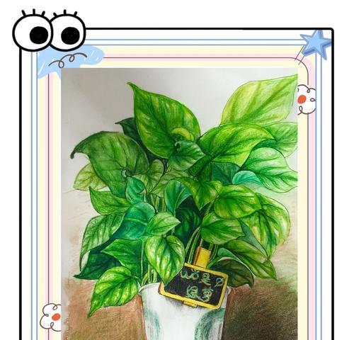 绿萝花黄叶子的治疗方法（怎样处理绿萝花叶子发黄的问题）