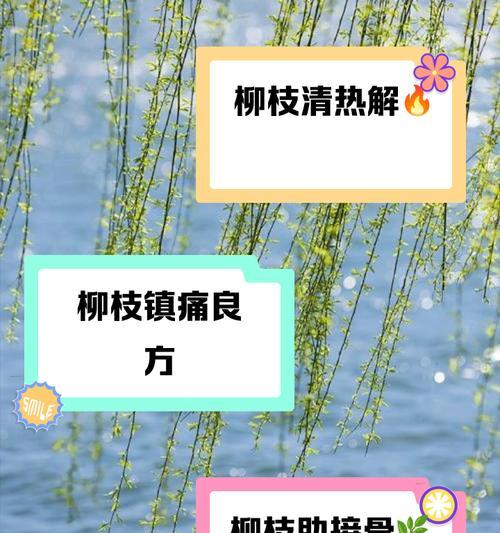 柳树的浇水方法剖析（掌握柳树的生长规律，正确浇水关键要素详解）