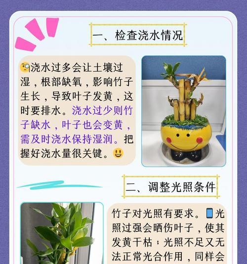 冬天养竹叶子发黄的处理方法（解决竹叶子发黄问题的实用技巧）