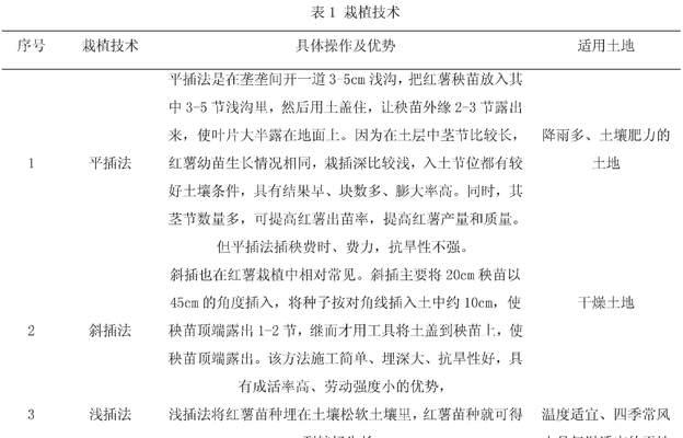 红薯生长温度探秘（了解红薯最适宜的生长温度）
