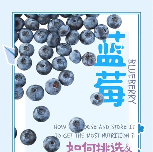 蓝莓保鲜技巧揭秘（放心收藏，享受美味不停歇）