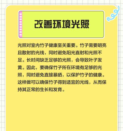 竹子的黄叶问题（黄叶的成因及处理方法）