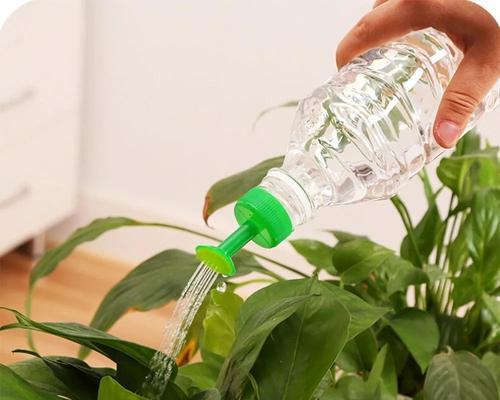 肥皂水浇花，种花不用愁（制作方法、使用效果及注意事项）