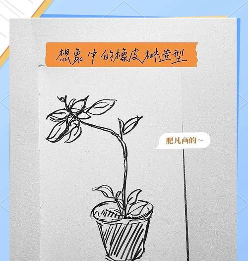 橡皮树的肥料使用技巧（以橡皮树的肥料为主，打造茂盛生长的橡胶园）