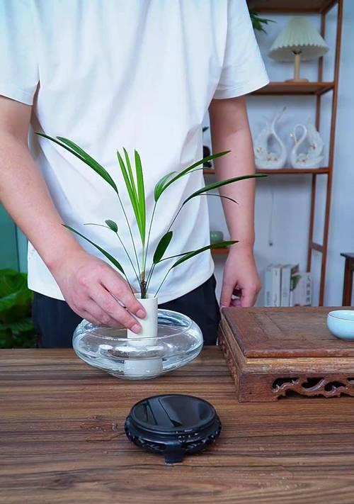 水培绿植叶子蔫了怎么补救？（掌握关键技巧，拯救水培绿植）