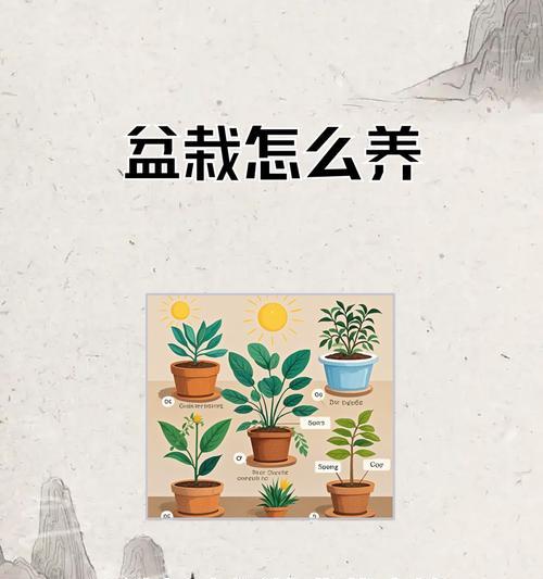 盆景肥料的制作与应用（打造健康盆景的秘密武器，盆景肥料）