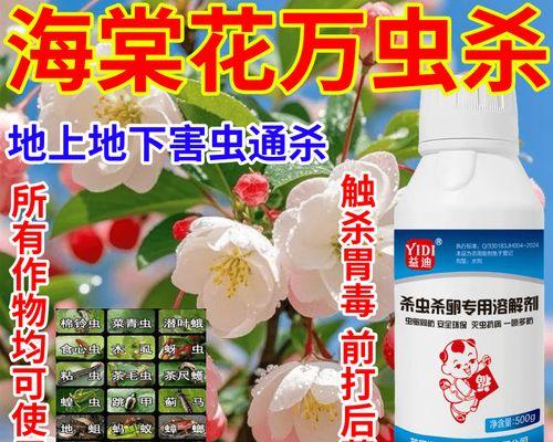 海棠上有虫，如何应对？（了解虫害防治的方法，保护海棠的健康）