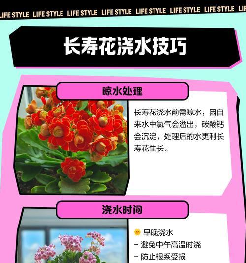 遇到多水的花该如何处理（有效防止多水浇灌引发的问题）
