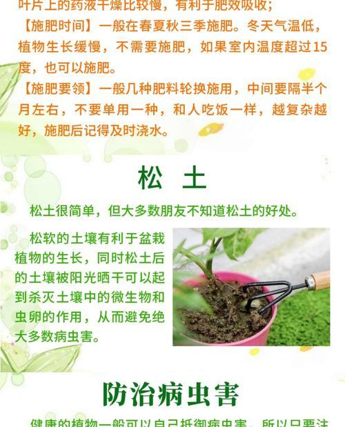 以花复合肥的使用方法及注意事项（提升花卉生长的有效肥料，用对复合肥，让花开得更美丽）