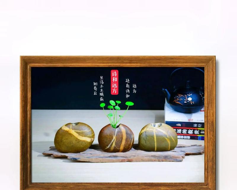 石头花的繁植与养护（掌握石头花繁植的关键，打造迷人多肉花园）