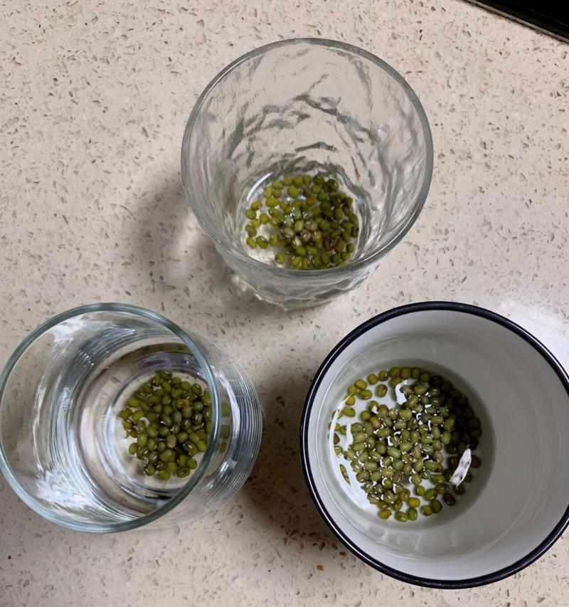 绿豆的种植(水培还是土培?绿豆的成长和产量受哪个因素的影响更大?)