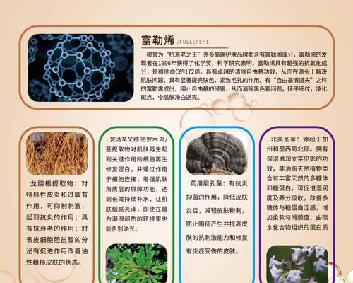 密罗木，一种特殊的植物类别（探秘密罗木的生命历程和特殊性状）