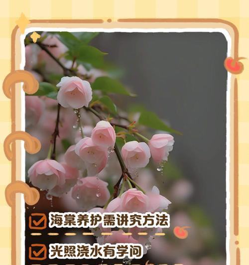 正确浇水让海棠花美丽绽放（掌握浇水技巧，让海棠花健康成长）