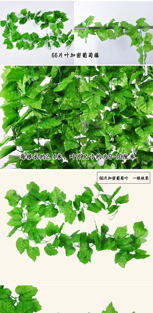 观察绿叶的变化（揭示植物变黄的原因与过程，重新认识自然界的魅力）