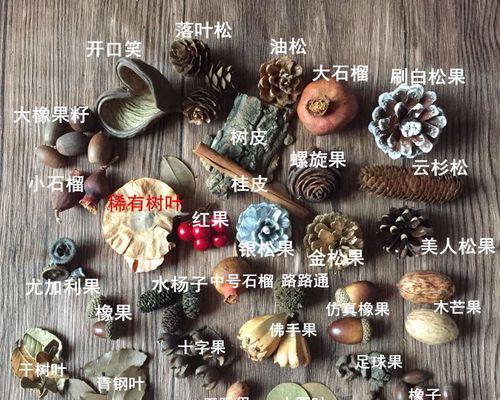 如何有效取出松果籽？（掌握几个技巧，轻松解决松果籽问题）