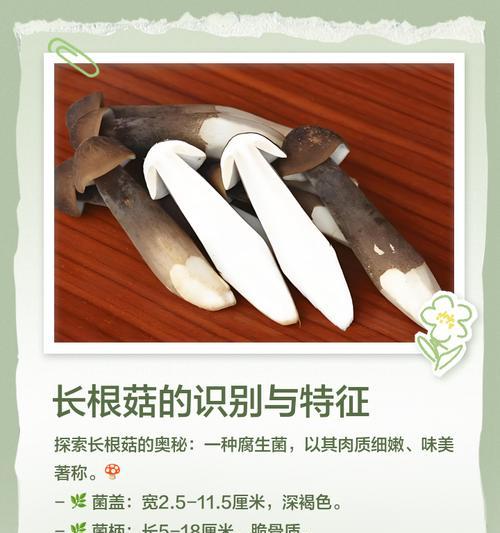 蘑菇不是植物，它属于腐生真菌（揭秘蘑菇的真面目，了解它的生长方式与营养价值）