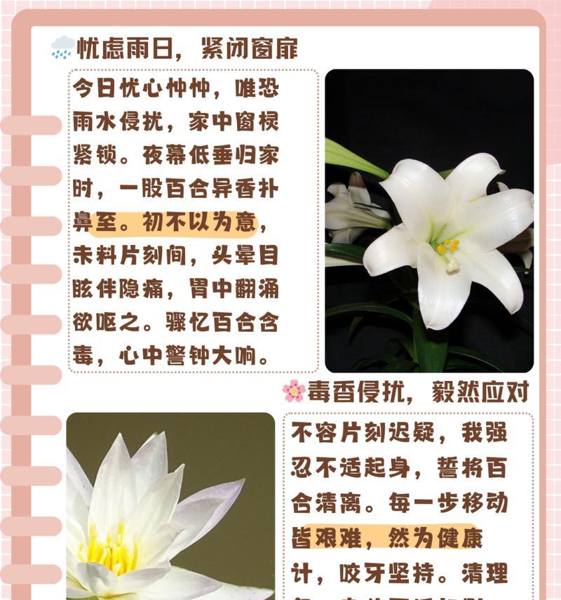 如何应对爱情进展过快的困扰（百合开的太快怎么办？）