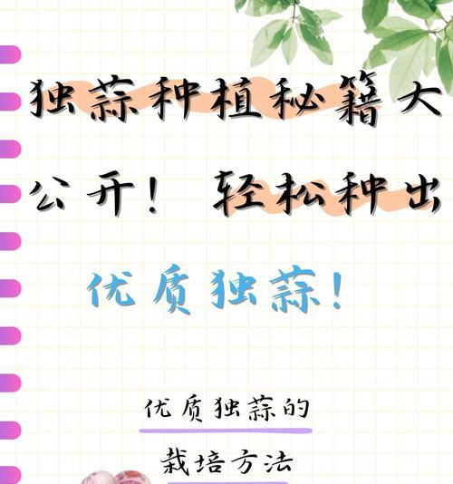 探秘大蒜的种植奇迹（从蒜头到蒜瓣的成长历程）