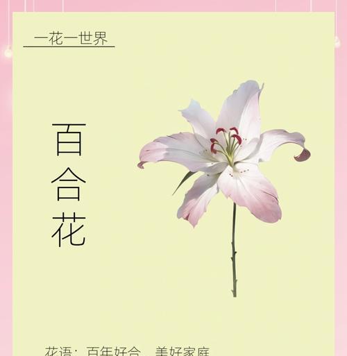 黄百合花语与寓意（探究黄百合花的十五种花语与象征意义）