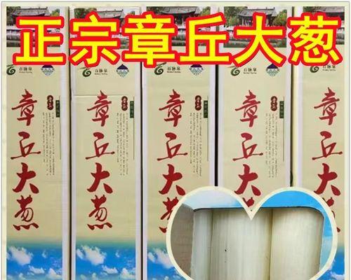 寻找山东大葱的故乡（从种植到食用，探寻山东大葱的丰富内涵）