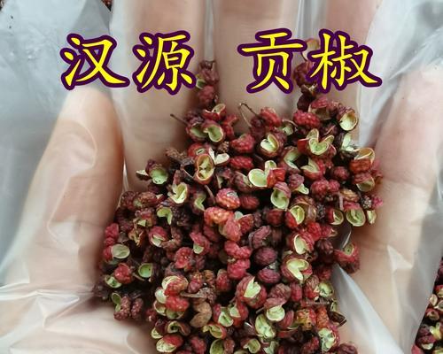 花椒的产地在哪里？（探寻花椒的生长环境和历史渊源）