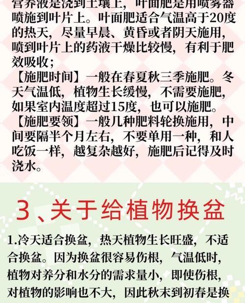 星兜锦仙人球的养护技巧——打造美丽的多肉小家园（了解星兜锦仙人球的特点，科学养护健康生长）