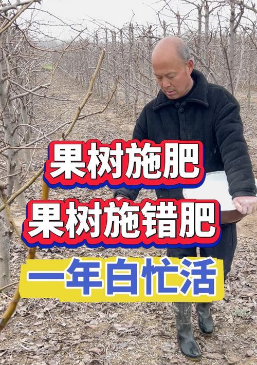 果树肥料的选择与施用（科学施肥，助力丰收）