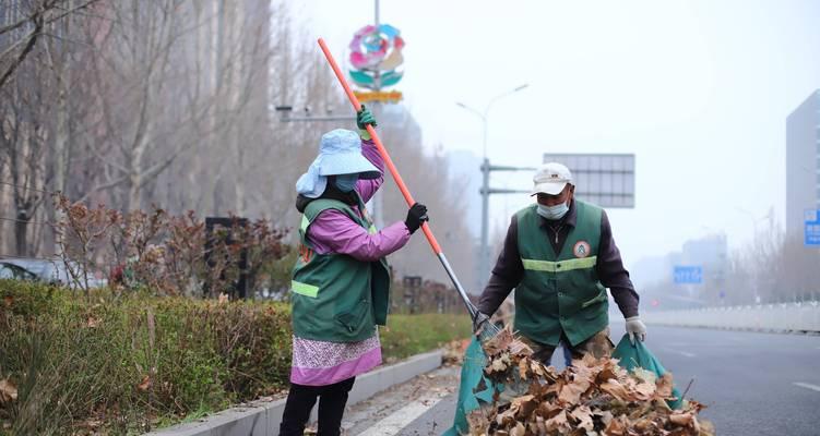 以榆叶梅修剪的艺术与技巧（打造精致盛放的榆叶梅花园）