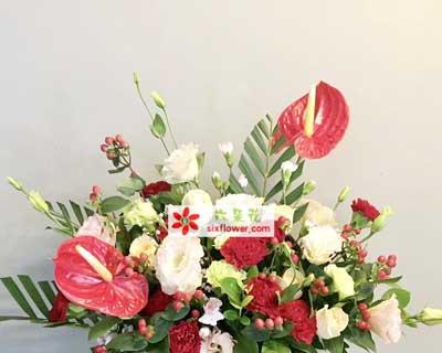 万事如意,如何以花语传递美好祝愿(用花语向世界传达幸福与顺利的祝福)