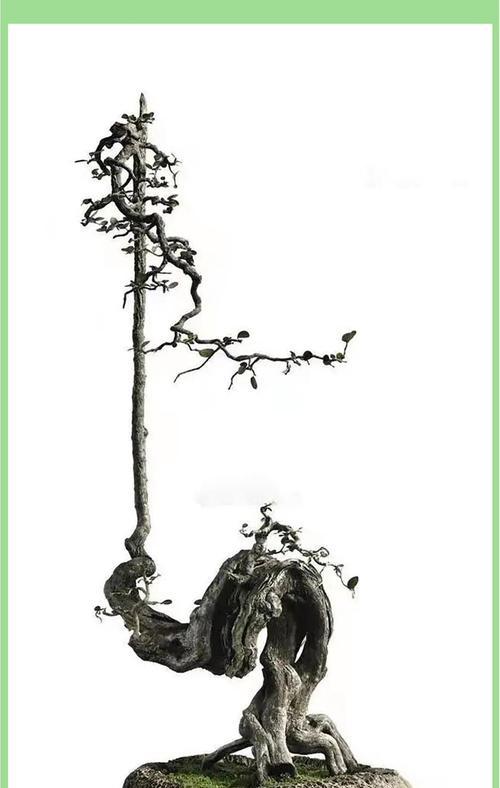 土培凤梨花盆景烂根的救治之道（解决凤梨花盆景烂根问题的有效方法）
