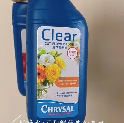 沙漠玫瑰的花期及特点（解析沙漠玫瑰的花期和生长环境）