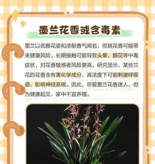 室内墨兰花养殖指南（打造室内绿意，墨兰花引领养殖热潮）