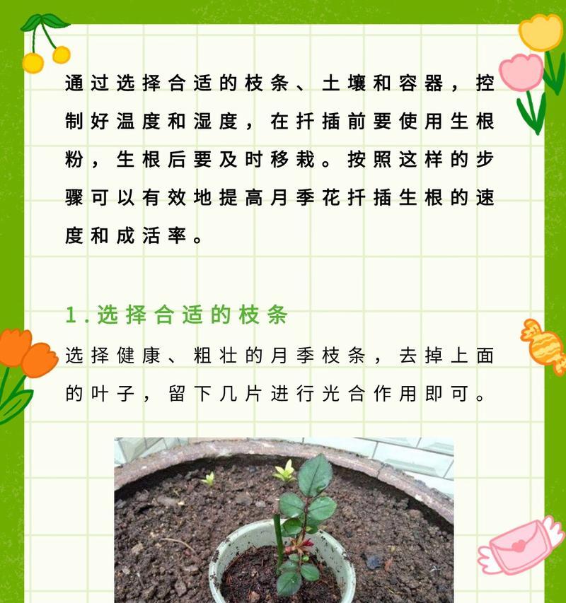 探究扦插生根技巧的实用方法（培育健康植株的秘诀与窍门）