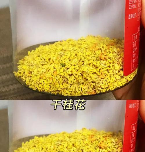 桂花花风干的制作与保存技巧（如何在家中制作香气四溢的风干桂花，并正确保存）