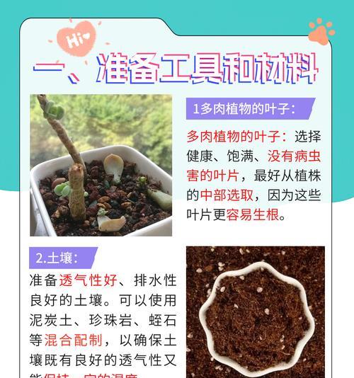如何正确浇水以玉露叶?(插玉露叶要注意的浇水技巧)