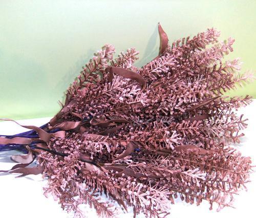 芦苇花的种植和加工利用技巧（发掘芦苇花的价值，实现可持续利用）