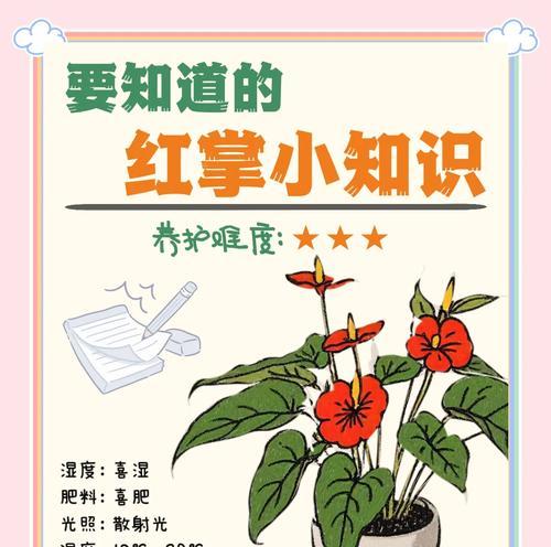 《红撑叶子黄了》——植物的哀伤(追溯变迁、寻找希望)