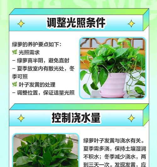 如何防止绿萝长虫？（有效方法与注意事项）