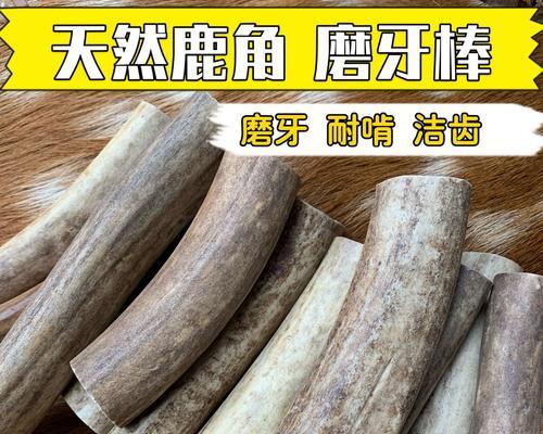 揭秘鹿角冬天为何不生长的奥秘（冬季鹿角不生长的关键原因及科学解析）