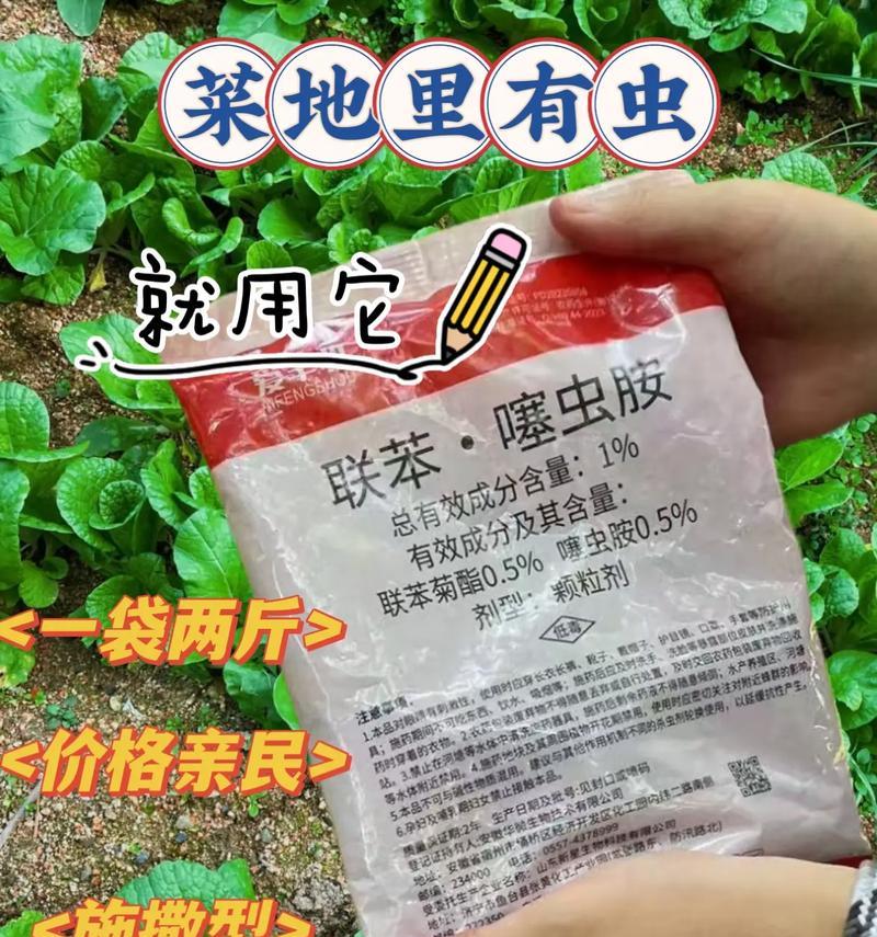 蜀葵花遭虫害，如何有效治理？（揭秘蜀葵花叶被虫子啃光的原因及治疗方法）