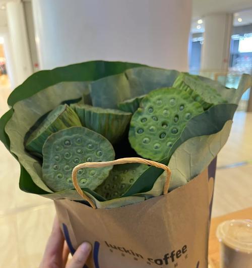 冷冻保存莲蓬，你需要知道的一切（如何保存莲蓬，保存时间和方法全解析）