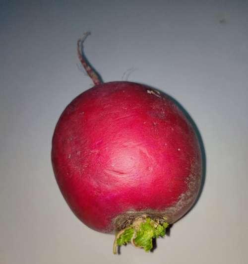 水培红萝卜蔬菜的种植方法（简单易行，健康又美味）