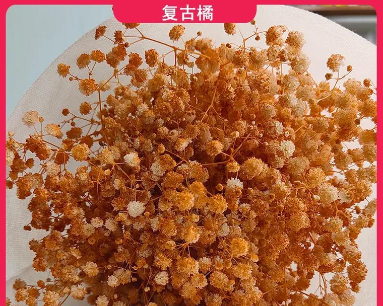 从满天星到干花（探索满天星变成干花的秘密，感受自然的魅力）