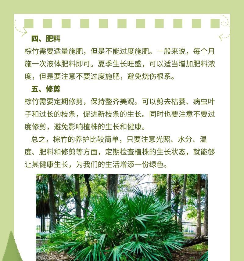 棕竹修剪的技巧与方法（掌握棕竹修剪的关键，让它更健康茁壮）