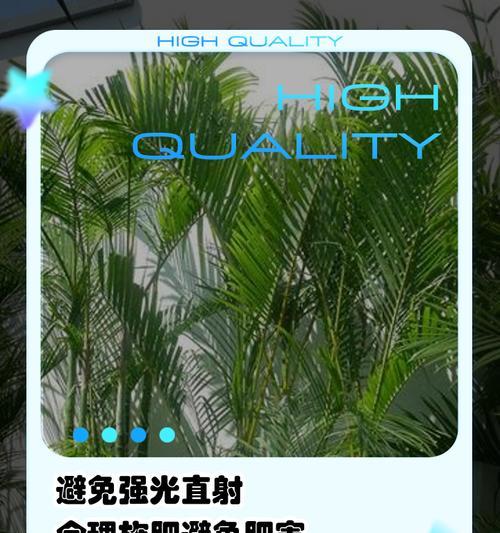 凤尾竹叶上的小白虫如何处理（清除凤尾竹叶上的小白虫的有效方法）