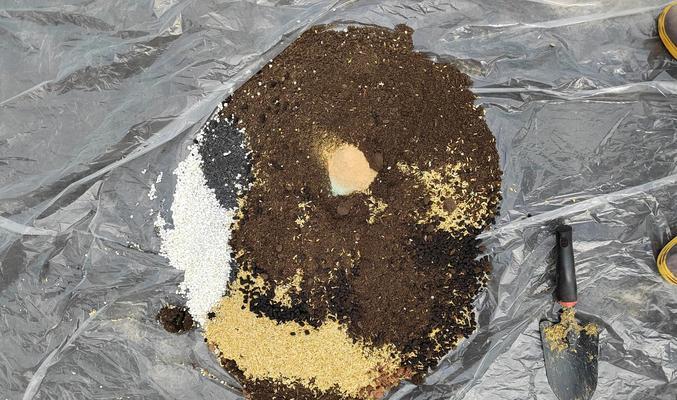 植物盆太大,如何更换土?(解决植物盆太大的问题,让植物健康成长!)