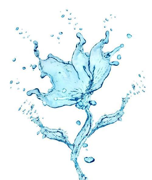 水中的花朵（水中花朵的魅力与奥秘）