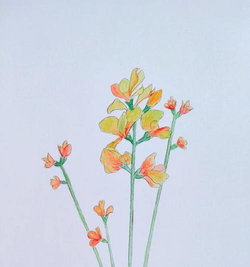 以鸿运当头花茎头的剪法与技巧（打造鲜艳夺目的花束）